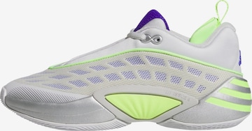 Scarpa sportiva 'Don Issue 8' di ADIDAS PERFORMANCE in grigio: frontale