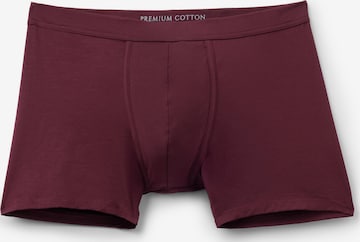 IUMAN Intimissimi Boxershort 'Premium' in Rot: Vorderseite