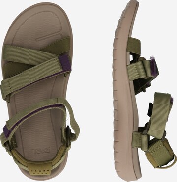 TEVA Sandals 'Sanborn Mia' in Green