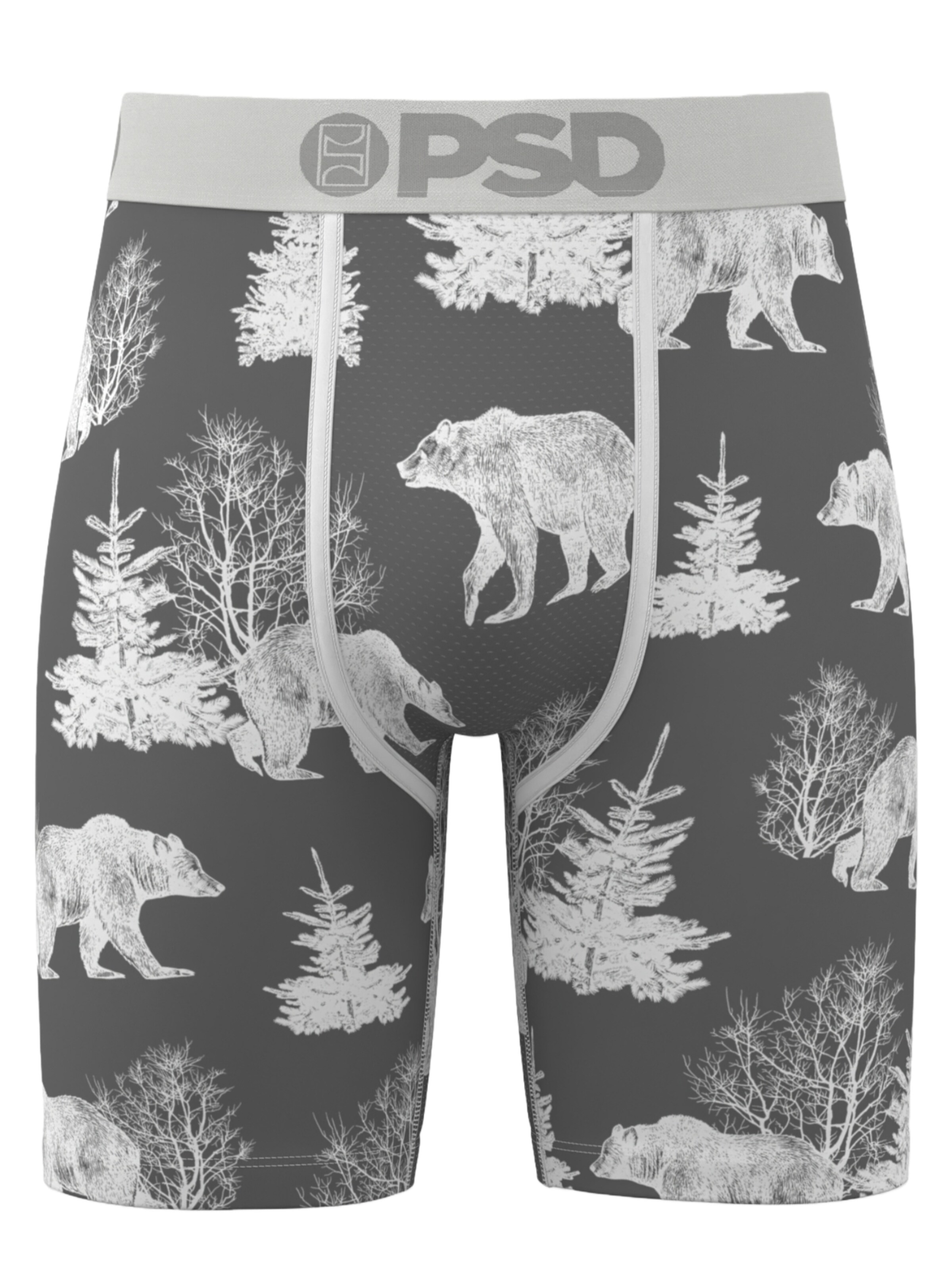 PSD Boxers 'BEAR CHILL' en mélange de couleurs, Vue avec produit