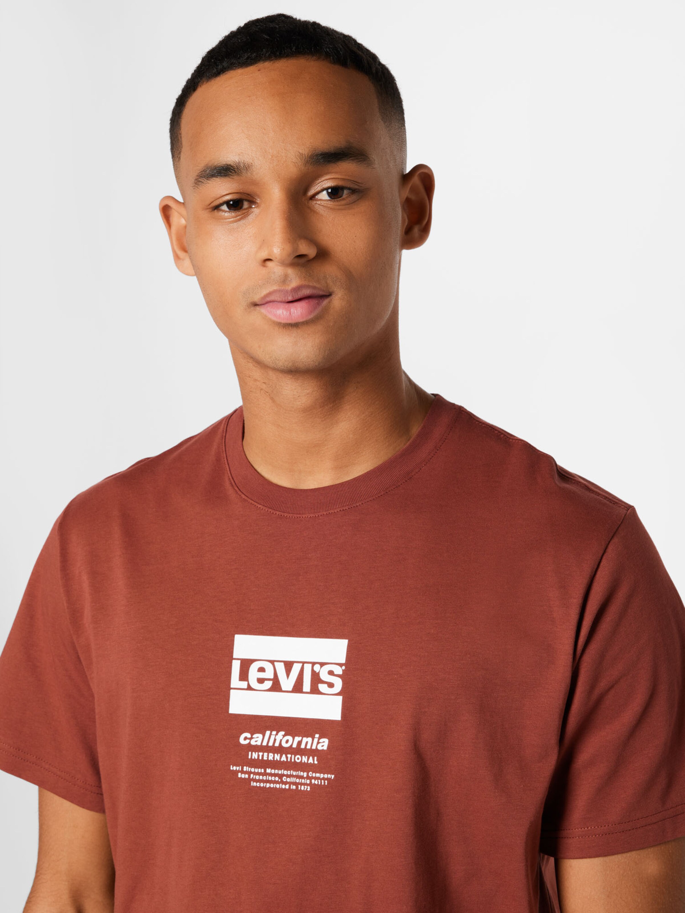 Homme T-Shirt LEVIS en Rouille 