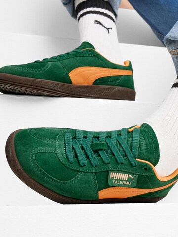 PUMA Низкие кроссовки 'Palermo' в Зеленый: спереди
