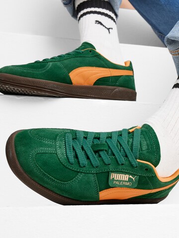 Baskets basses 'Palermo' PUMA en vert : devant