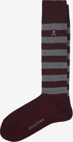 Scalpers Ponožky – červená: přední strana