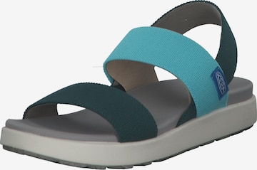 KEEN Sandalen met riem 'Elle 102715' in Groen: voorkant