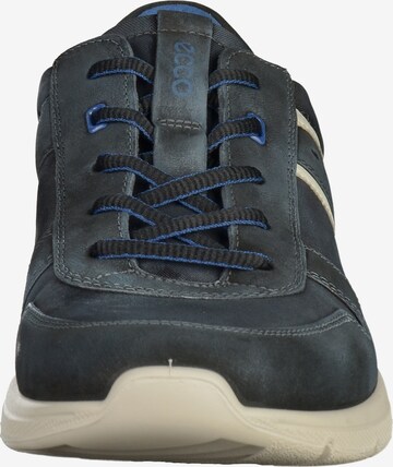 ECCO Sneaker in Blau