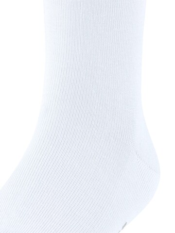 FALKE Socks 'Family' in White