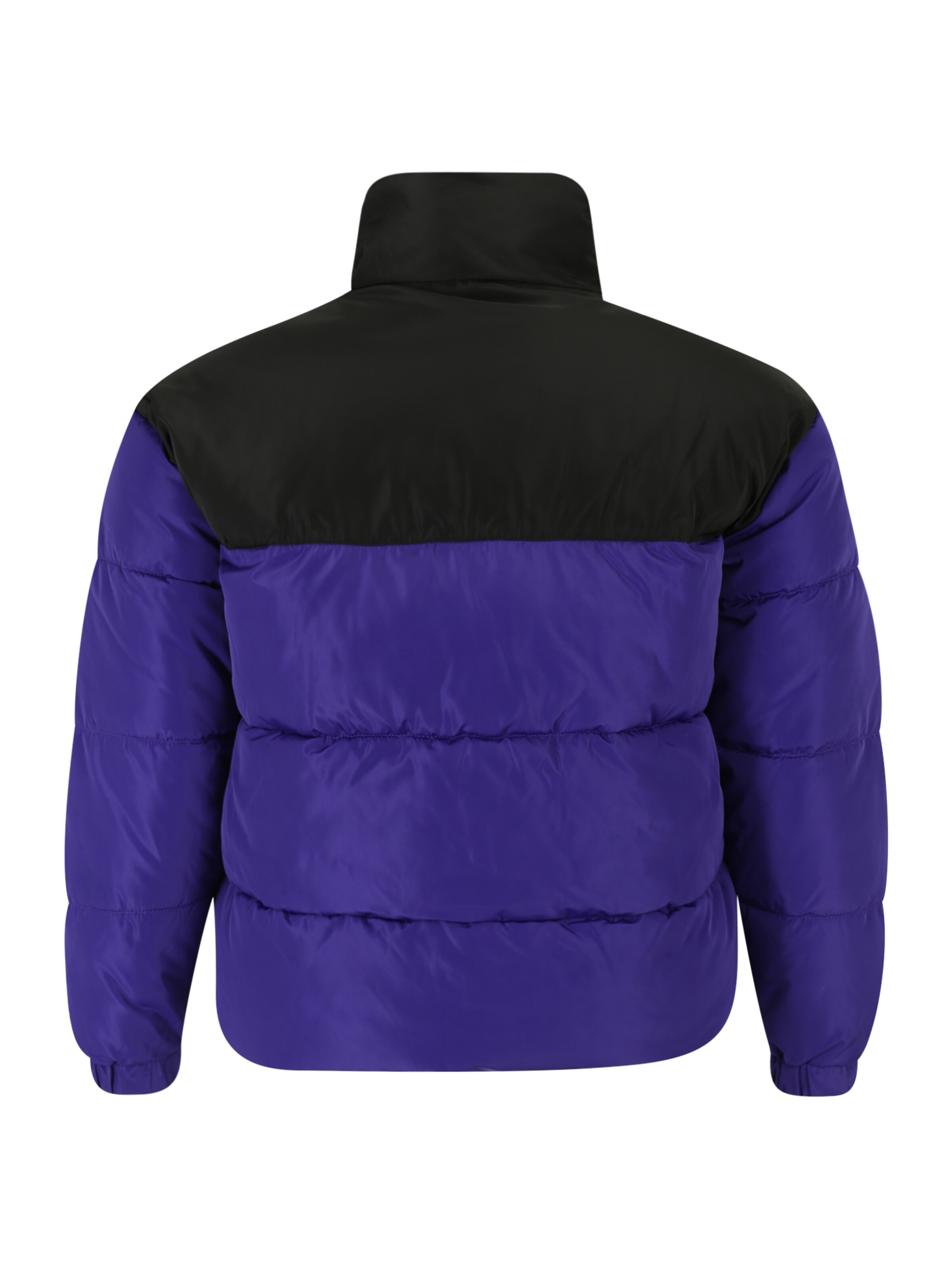 ONLY Carmakoma Kurtka zimowa 'BECCA' w kolorze fioletowy