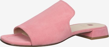 Högl Mules in Pink: front