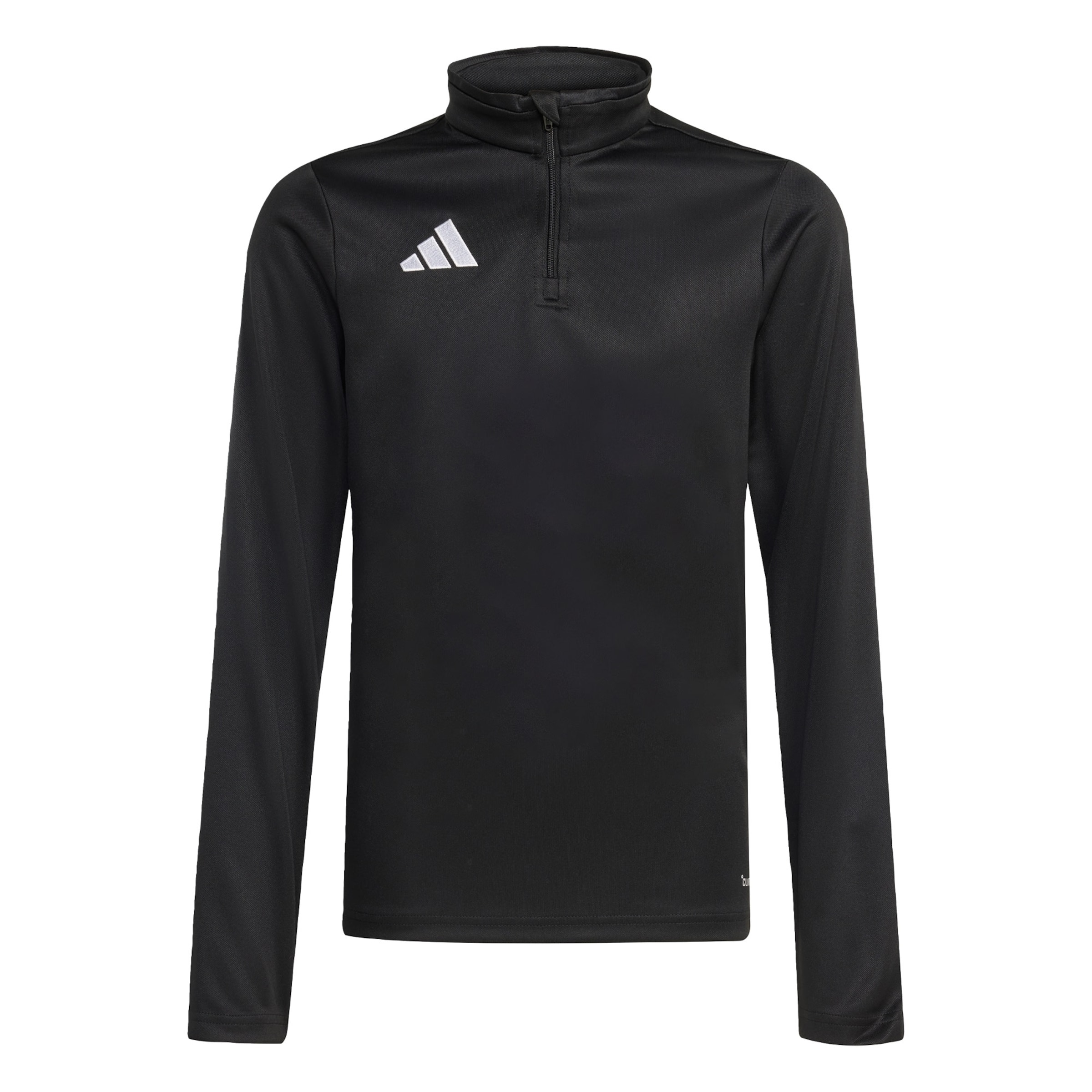 ADIDAS PERFORMANCE Performance Shirt 'Entrada26' in Black: front