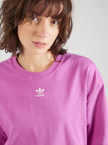 ADIDAS ORIGINALS Shirt 'Adicolor Essentials' in Lila