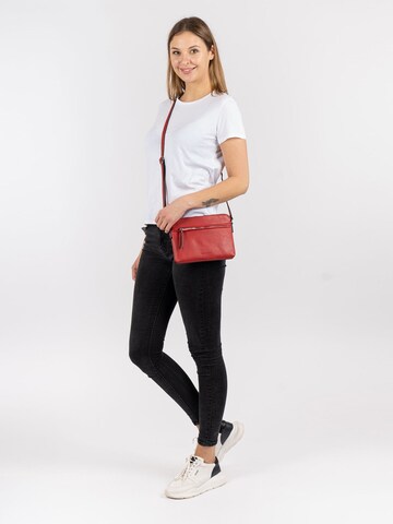 Emily & Noah Crossbody Bag ' Emma ' in Red: front