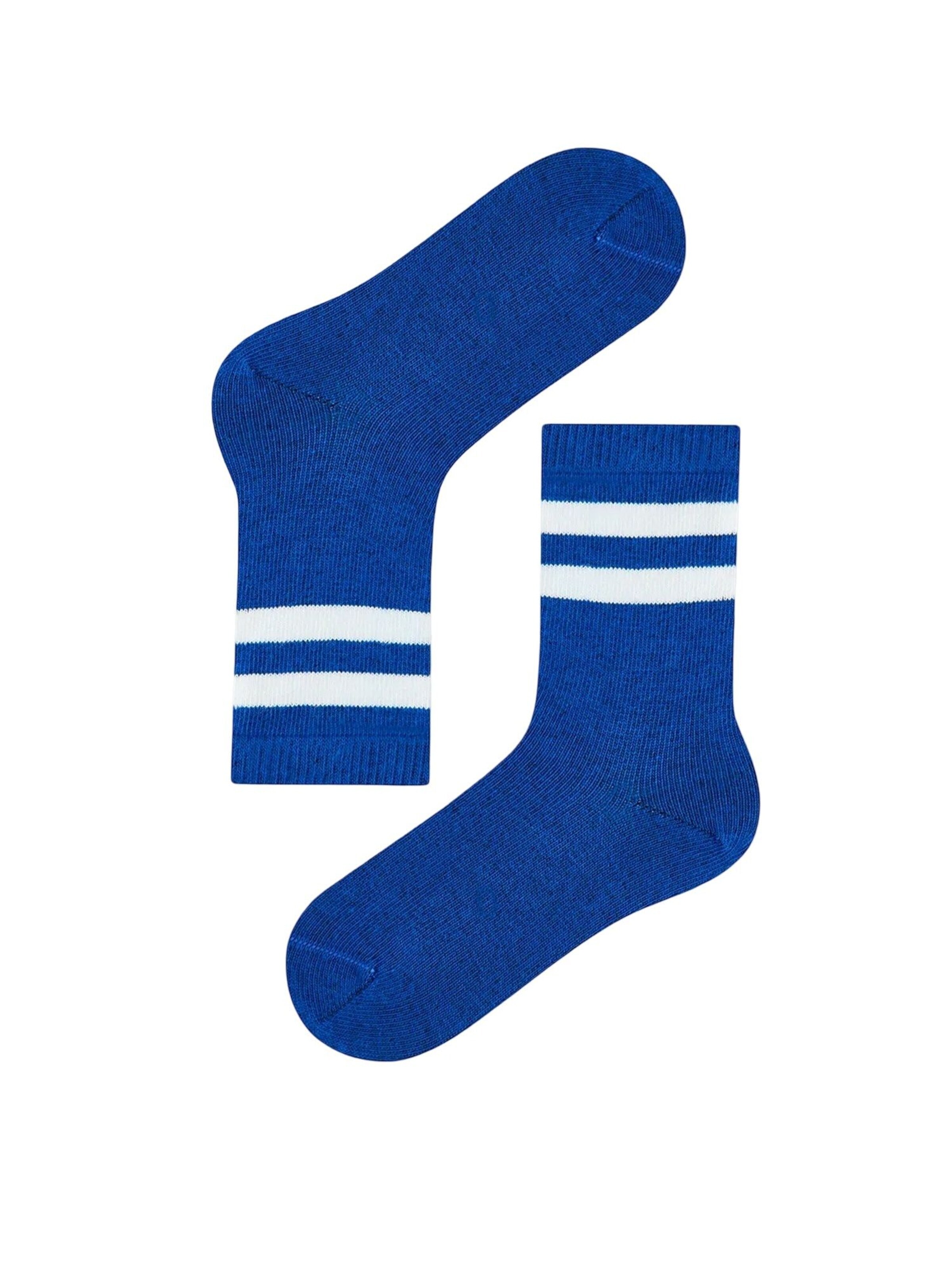 Penti Sokken 'PENTI Mellow Rex Dinosaurier-Socken, 4er-Pack' in Gemengde kleuren