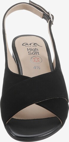 ARA T-Bar Sandals in Black