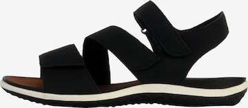 GEOX - Sandalias en negro: frente