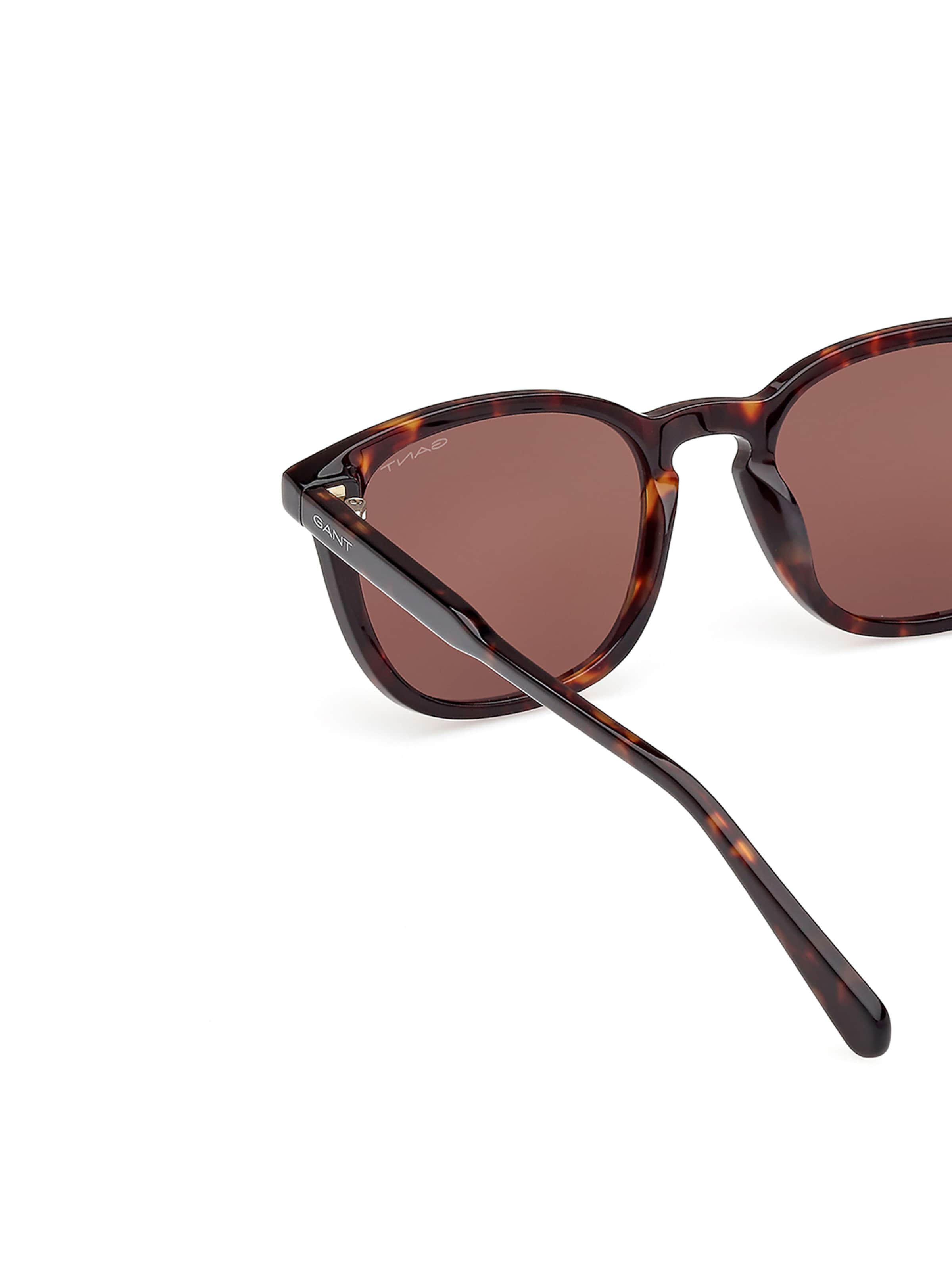 GANT Sunglasses in Brown