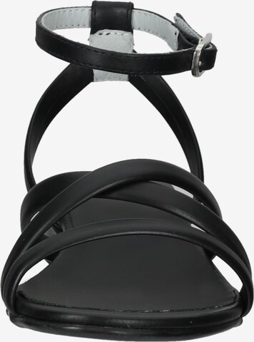 Nero Giardini Strap Sandals in Black