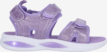 ZigZag Sandals 'Flour' in Purple