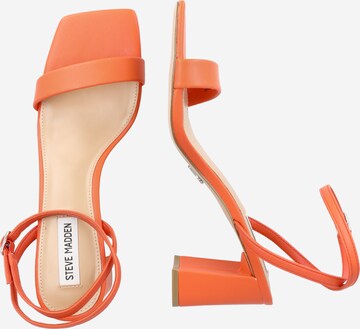 STEVE MADDEN - Sandálias com tiras 'LUXE' em laranja