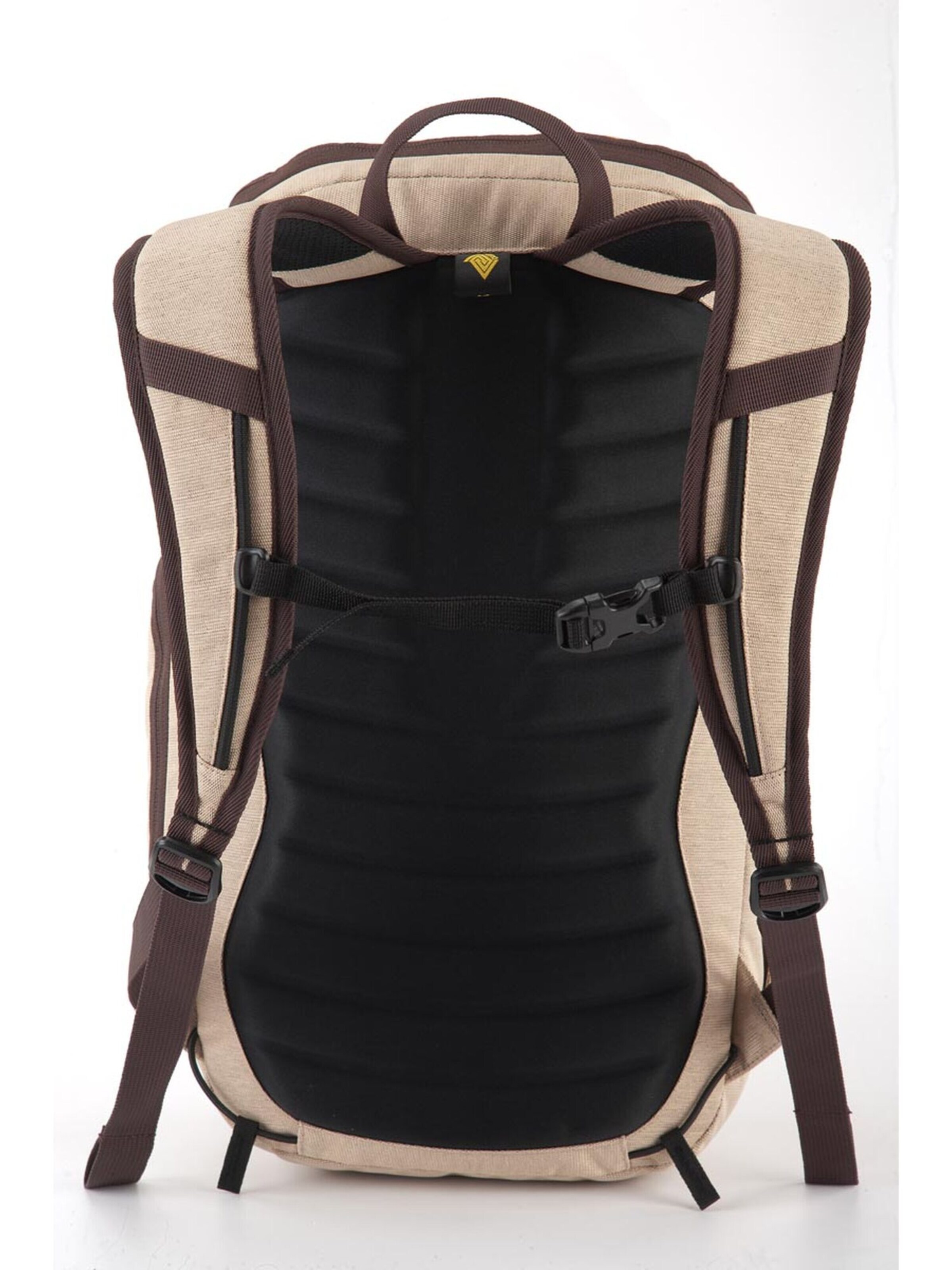 NITRO Backpack in Brown: front