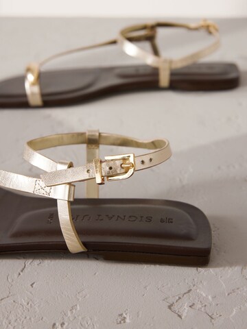 Next Босоножки через палец 'Forever Comfort' в Золотой