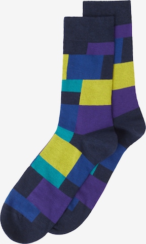 CALZEDONIA Socks in Mixed colors: front