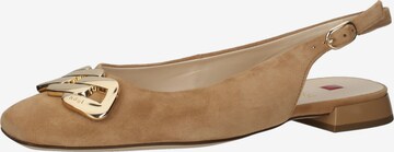 Högl Ballet Flats with Strap 'Jacky' in Beige: front