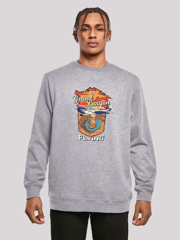 F4NT4STIC Sweatshirt 'Grand Canyon Flying' in Grey: front