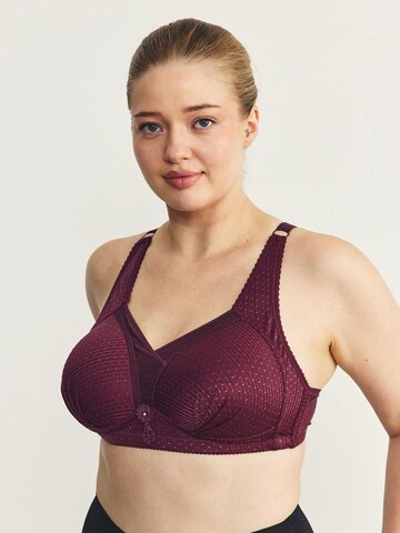 Bustier Soutien-gorge C&City en violet