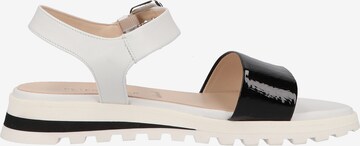 PETER KAISER Strap Sandals in Black