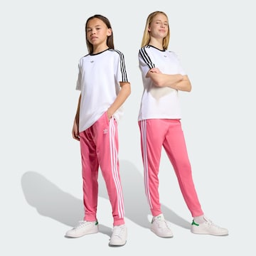 ADIDAS ORIGINALS Tapered Trousers 'Adicolor' in Pink: front
