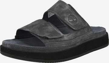 TIMBERLAND Пантолеты в Серый: спереди