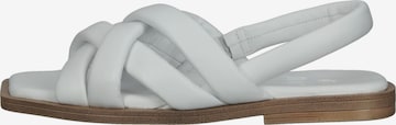 ILC Sandals in White