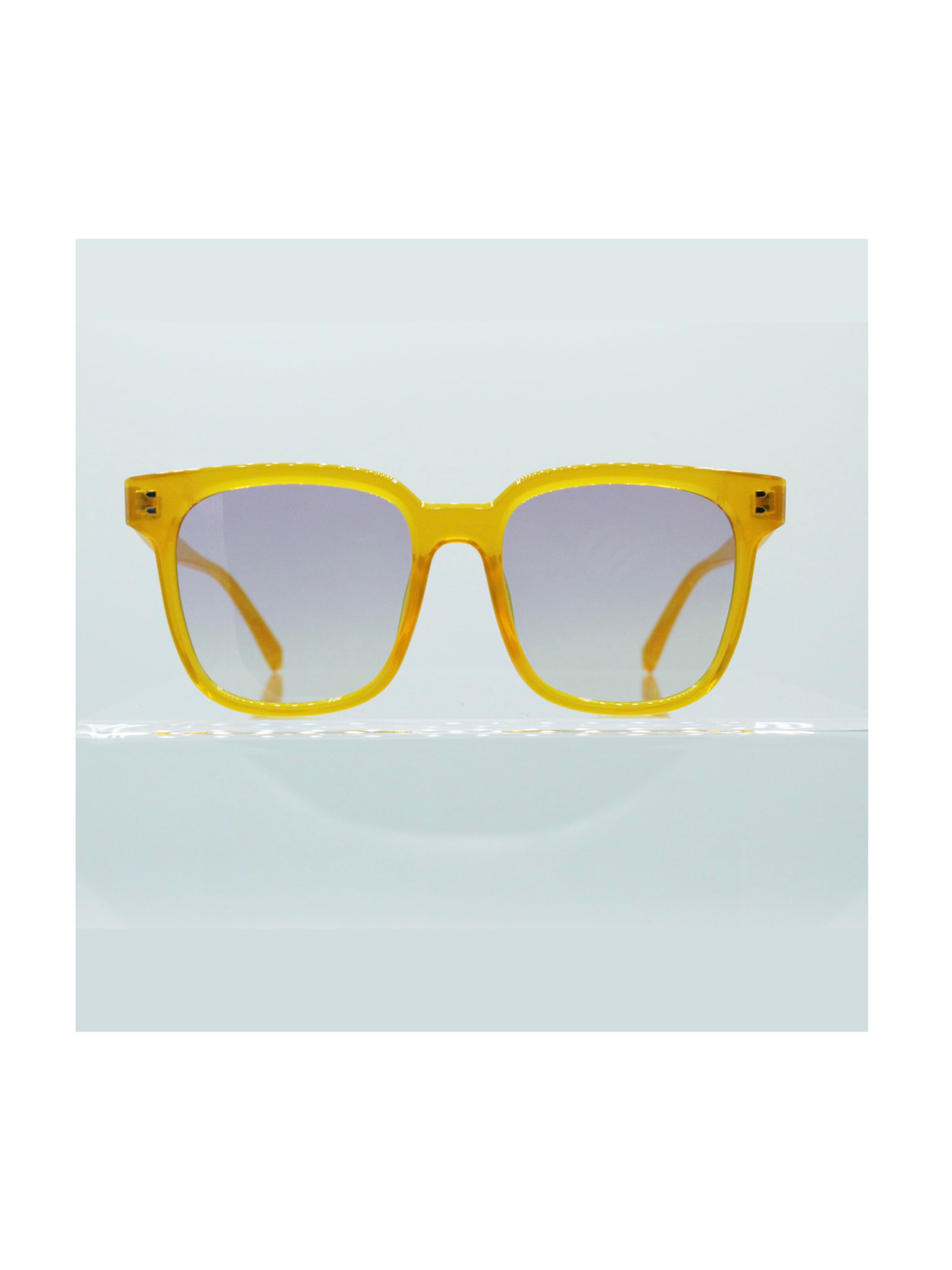 Surf Monkey Sunglasses in Gold