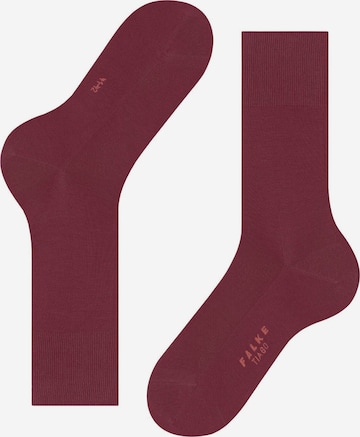 FALKE Socks 'Tiago' in Red