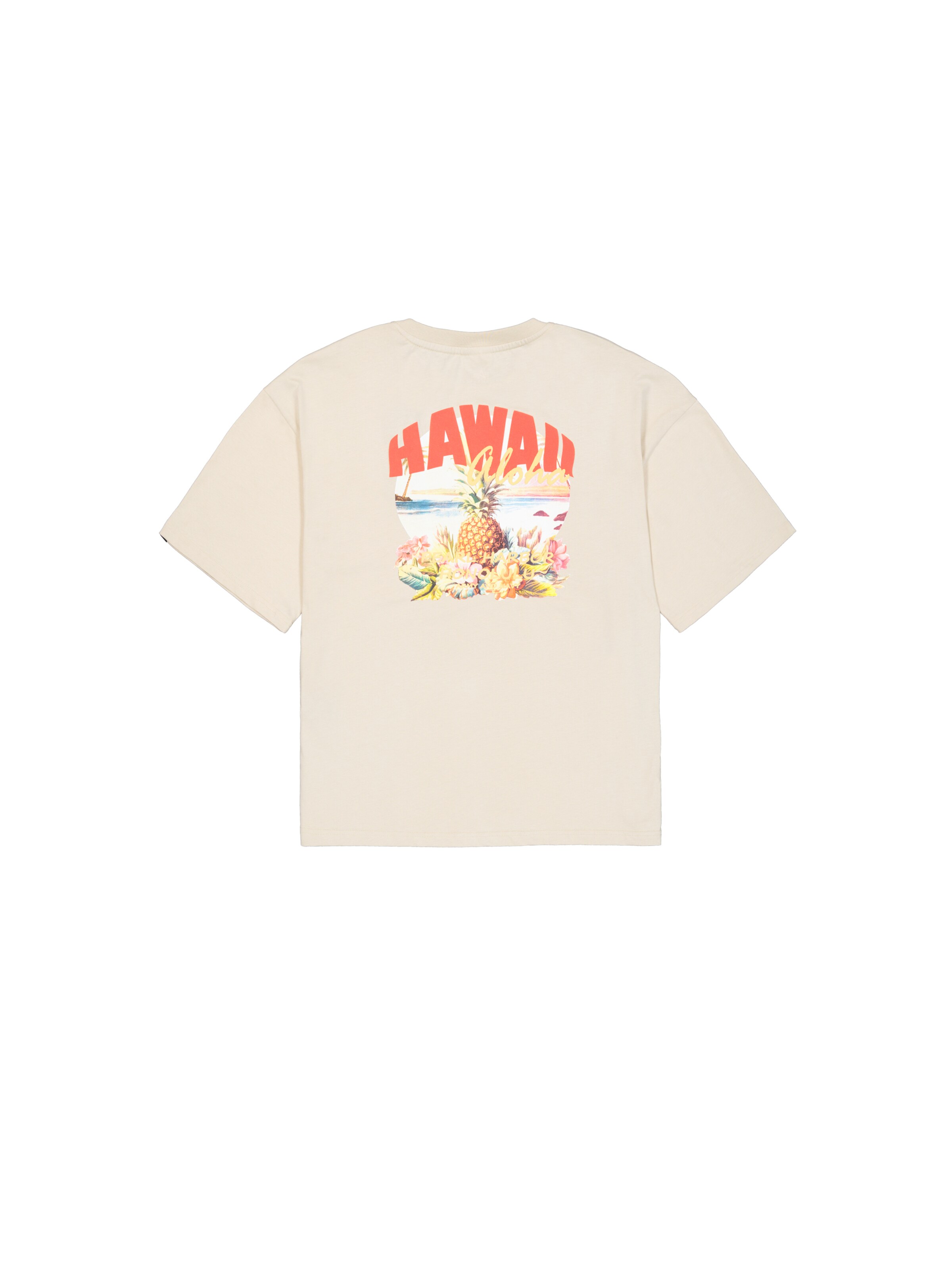 ALPHA INDUSTRIES Shirt 'Hawaii Aloha' in White