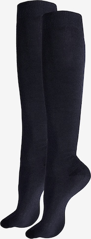 Hudson Kniestrümpfe in Blau: Vorderseite