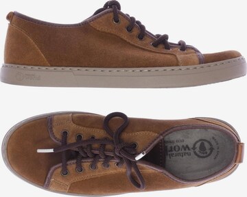 natural world Sneakers & Trainers in 40 in Brown: front