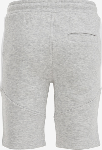 Regular Pantalon de sport WE Fashion en gris