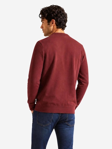 Sweat-shirt Calvin Klein Jeans en marron