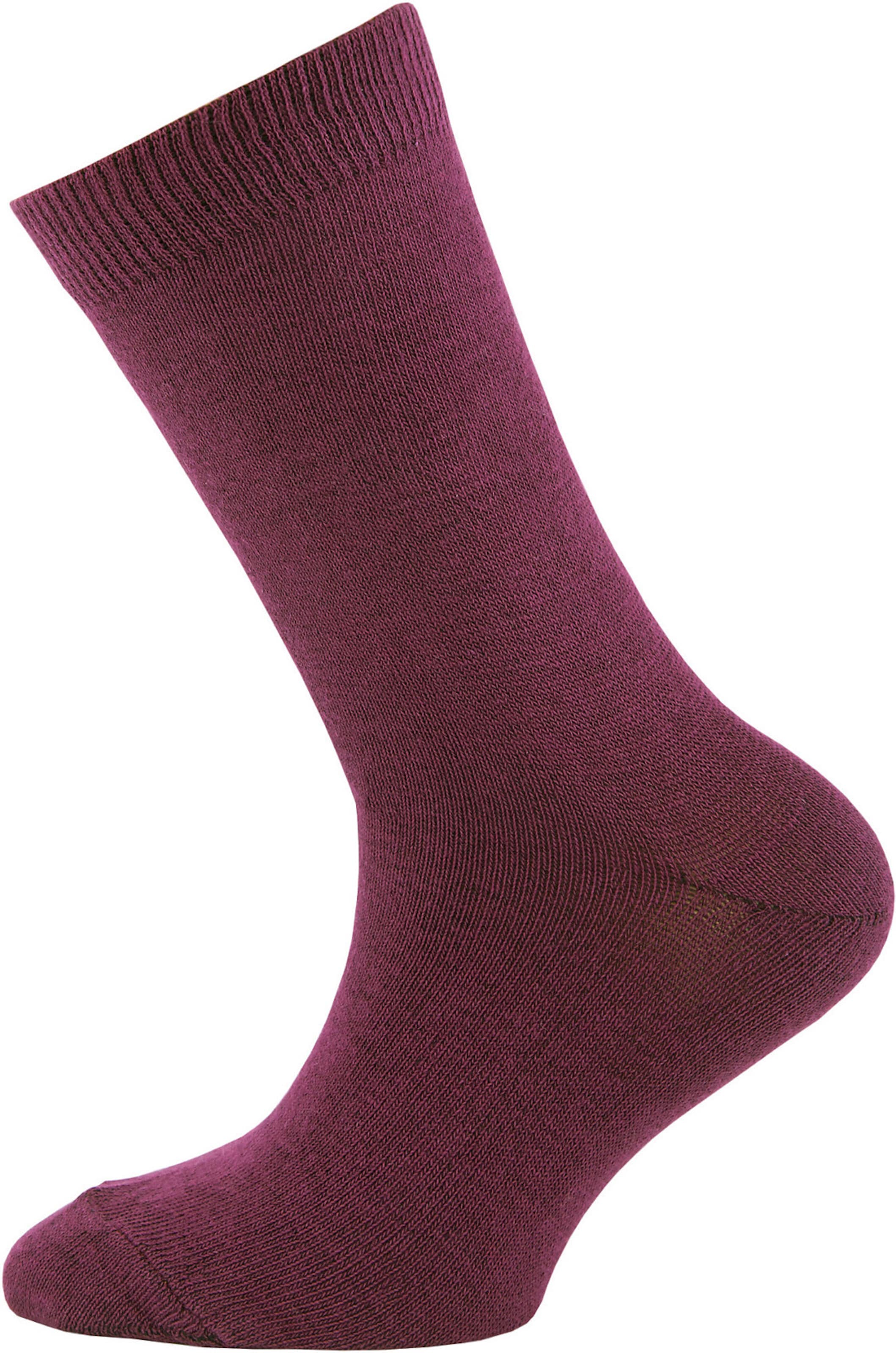 EWERS Regular Socks in Purple