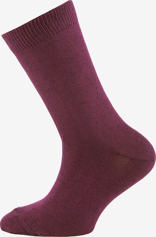 EWERS Regular Socken in Lila