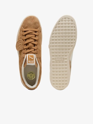 PUMA - Sapatilhas baixas em castanho