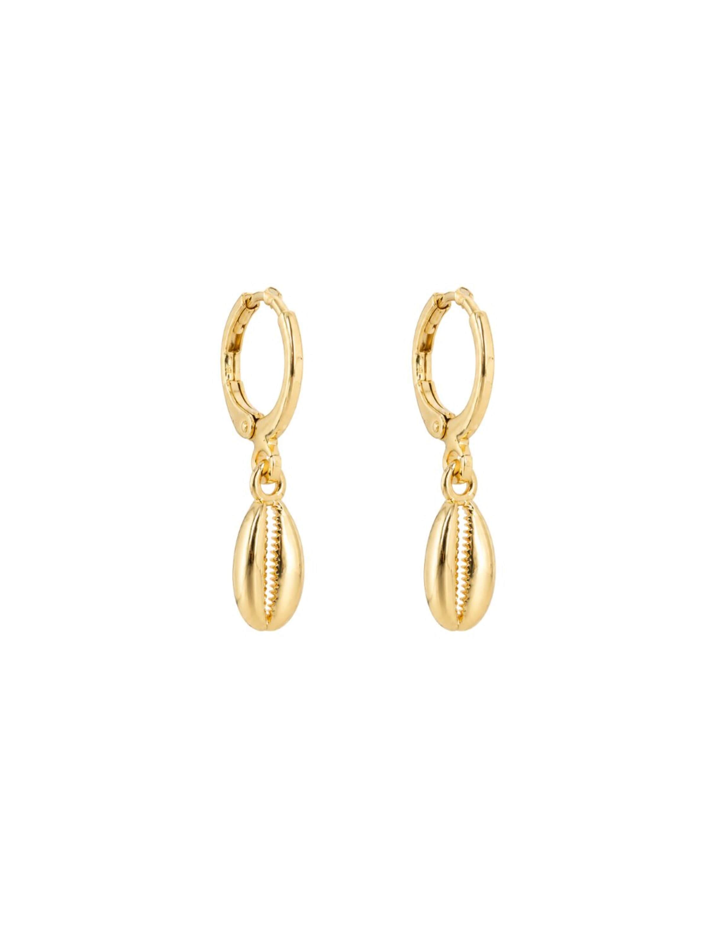 Fräulein Wunder Ohrringe 'Ohrringe Cowrie'‌‌‌‌‌‌‌‌‌‌ in Gold: Vorderseite