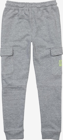 regular Pantaloni di MINOTI in grigio