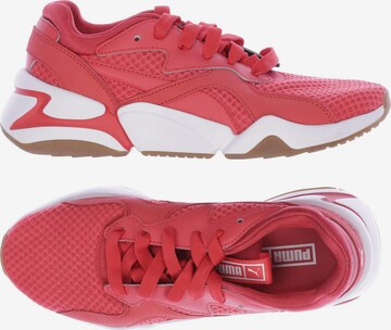 PUMA Sneakers & Trainers in 38 in Red: front