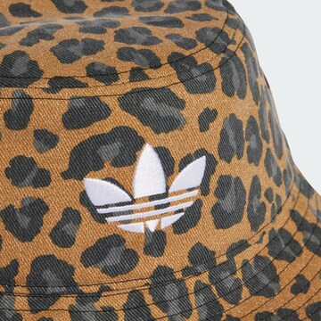 ADIDAS ORIGINALS Hoed in Bruin