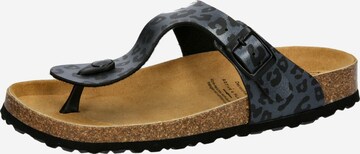 LICO T-Bar Sandals in Grey: front