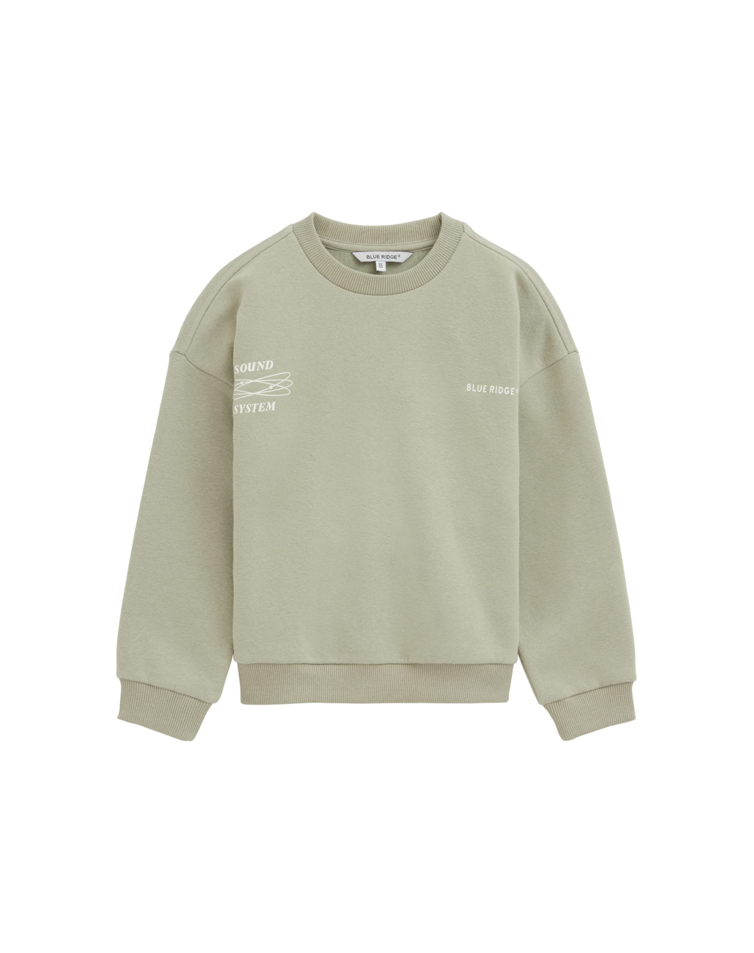 WE Fashion Sweatshirt in Groen: voorkant
