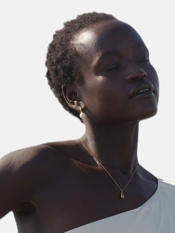 timi of sweden Oorbellen 'Essie' in Goud: voorkant